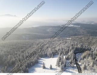 background winter nature forest 0016